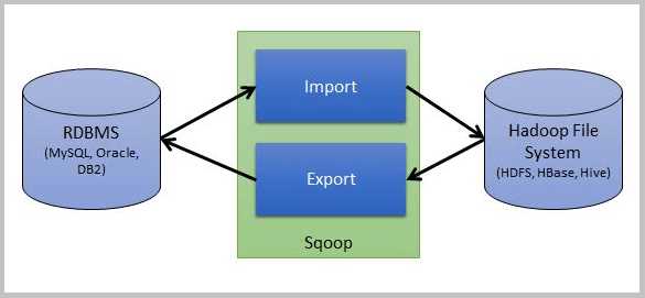 Data Import/Export Important Practice in Database