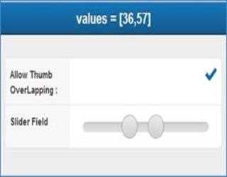 Slider Field in Sencha Touch