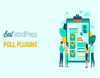 Complete Guide On WordPress Poll Plugin for Beginners