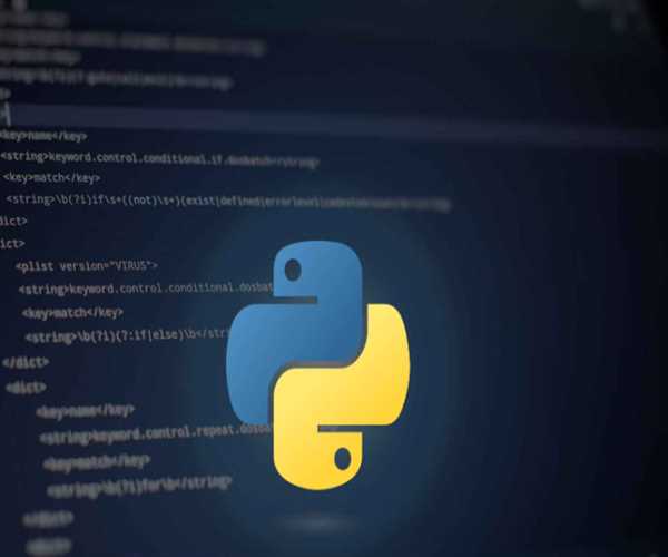 The Future of Python in 2024
