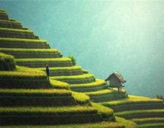 Best Time To Visit Thailand