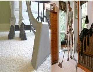 5 Smart Reasons to Hire Professional Carpet Cleaners for Your Home or Office