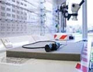 Endoscopy- What Do You Need to Know