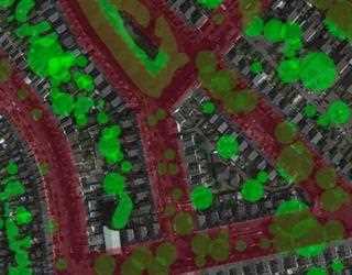 Big Data has created the world's first vegetation map?