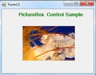 PictureBox Control in VB.Net
