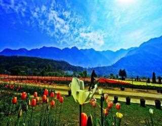 Top 6 Hill Stations in India for a Perfect Holiday