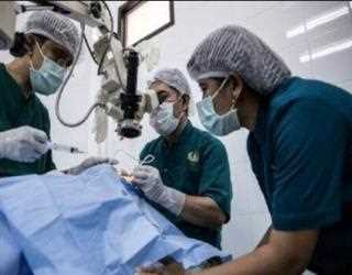 Netherlands Created Such A Tool For Tumor Operation