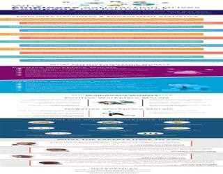 Why Employee Satisfaction Drives Company Performance