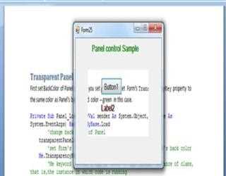 Panel Control in VB.Net