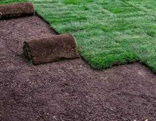 10 Reasons that You Ought To Look for Sod Near Me