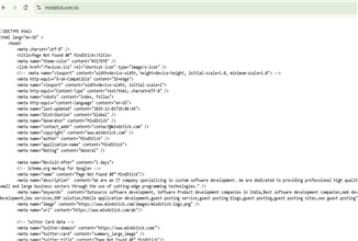 Why Is MindStick Showing Raw Source Code Instead of a 404 Page? Is It Safe?