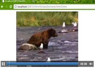 Video element in HTML5