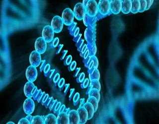 Applications of Computational Biology: Unveiling Their Impact