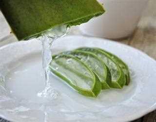 4 Amazing Health Benefits of Aloe Vera