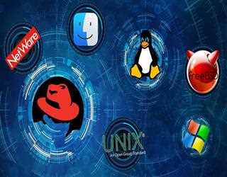 What Are Some Common Server Operating Systems, Main Features
