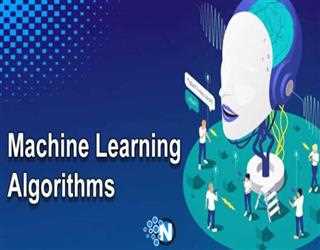 Top 5 Machine Learning Algorithms For Beginners