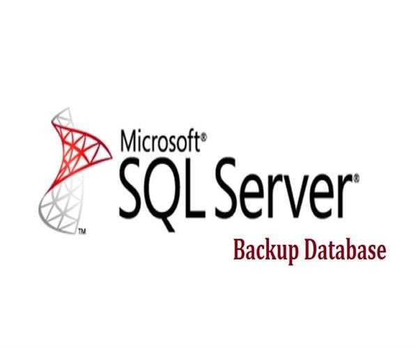 Explain the SQL Server backups and their types