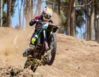 A Small Guide to Buying Tribal Bikes