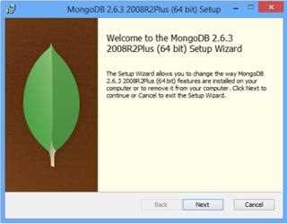 Install and Setup MongoDB