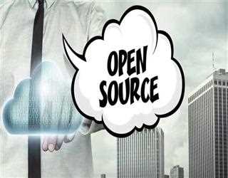 What Are The Pros And Cons Of Open Source Ecosystems?