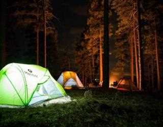 Everything You Need To Plan A Trip In Woods
