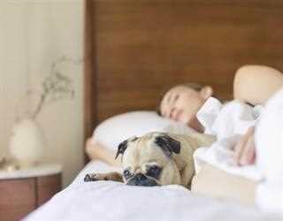 Advantages of using a Memory Foam Pillow