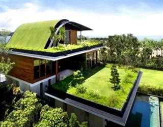 Installing A Green Roof-What, All Do You Need To Know
