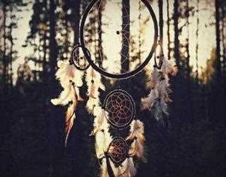 All about Dreamcatcher
