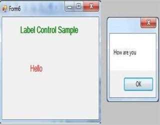 A Label Control in VB.Net