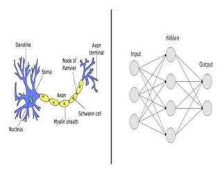 Basic concept of Neural Networks in AI.
