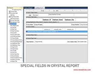 Special Fields in Crystal Report