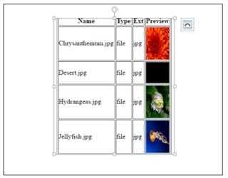 Directory Handling in PHP