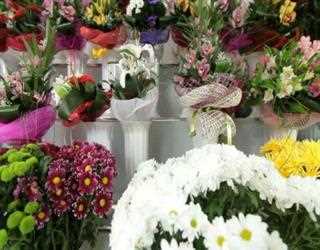 Blossom The Day With Fresh Flowers - Send Flowers To India