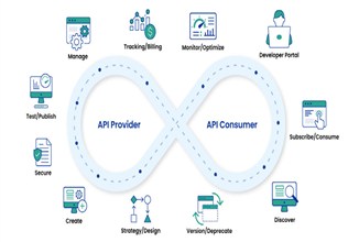 API Implementation for Content Analysis