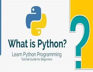 What are the best online courses for Python beginners?