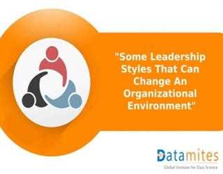 Some Leadership Styles That Can Change An Organizational Environment