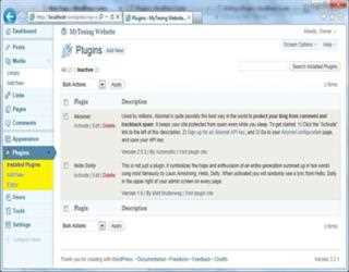 Using Plugins in WordPress