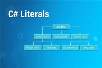 Basic of C# Programming with Constants and Literals