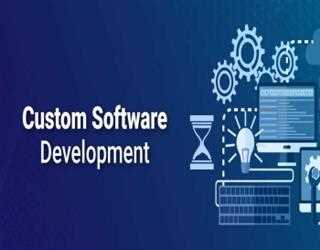 Different Types of Software Developers You Should Know About