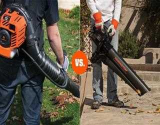 Electric vs Gas Leaf Blower