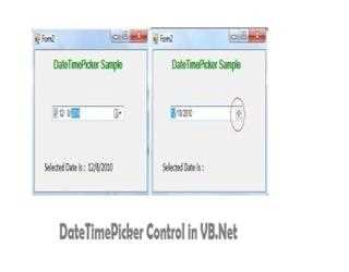 DateTimePicker Control in VB.Net