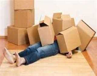 6 Relocating Day Tips