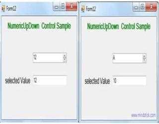 NumericUpDown Control in VB.Net