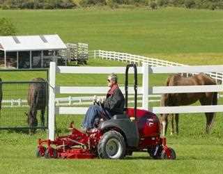 How Much Is The Cheapest Lawn Mower?