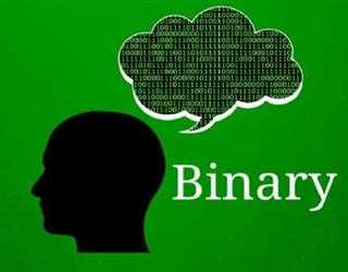 Binary Number System