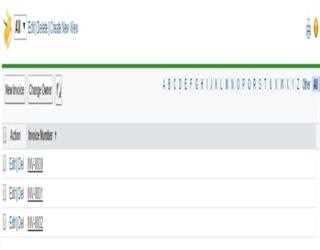 SFDC: Create customized views of data