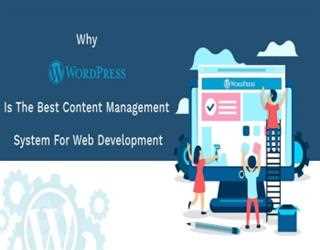 Why WordPress is the Best Content Management System for Web Development