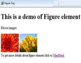 Figure element in HTML5