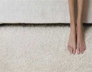 Professional Carpet Steam Cleaning Helps Your Allergies
