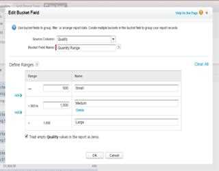 SFDC Report: Getting more with Reports